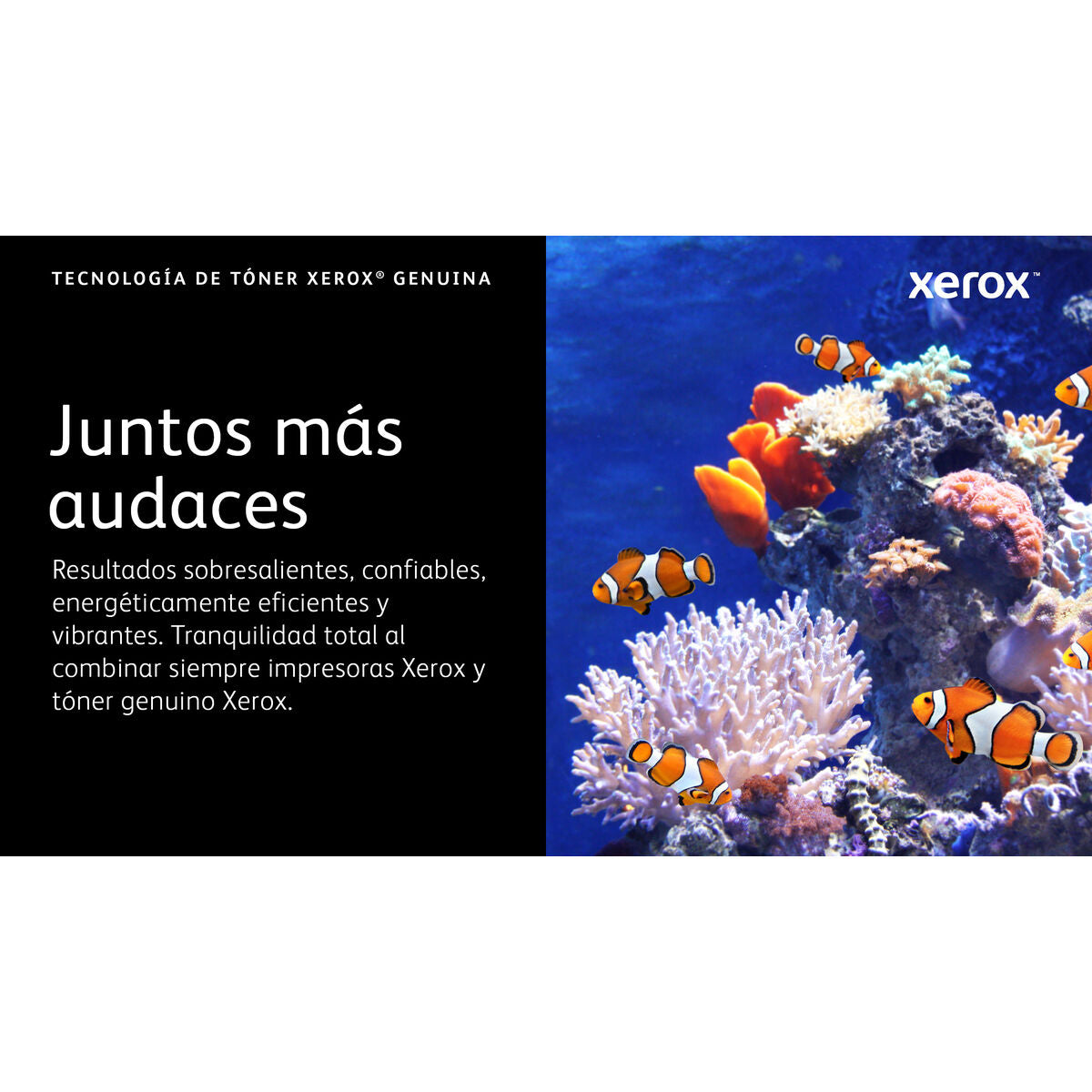 V2H17690BCE73D140A99FD661A7EF7FEA24R7808835P2